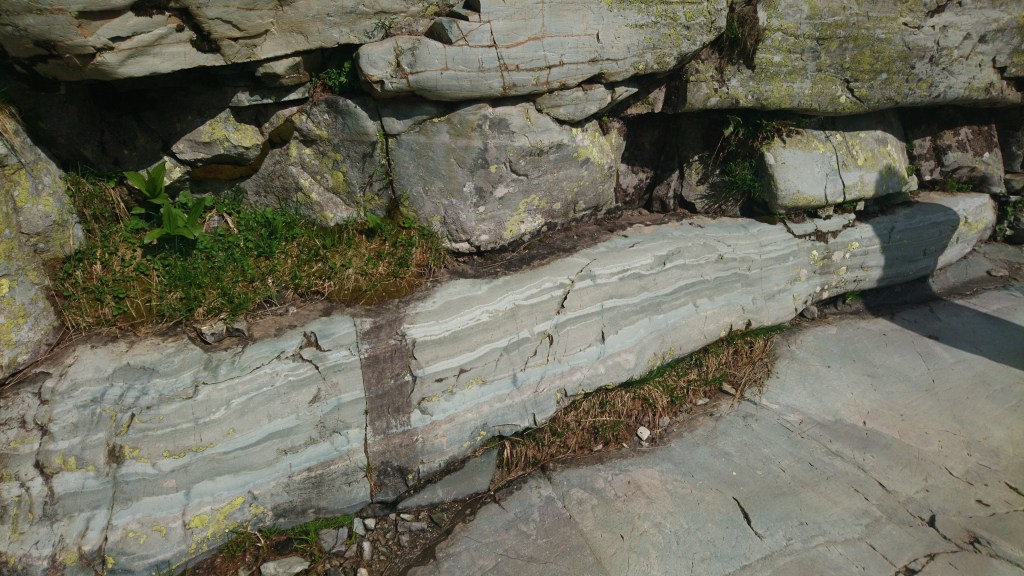 stromatolithes. geologie vallée des merveilles